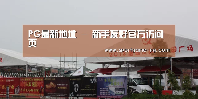 案例标题十