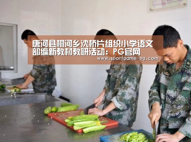 唐河县桐河乡沈桥片组织小学语文部编新教材教研活动：PG官网